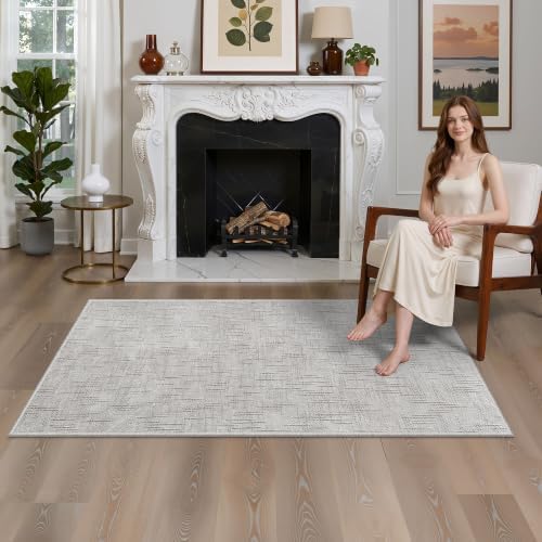 Valenrug 4x6 Area Rug Non Slip, High-Low Pile Washable Rug for Bedroom Grey by Valenrug