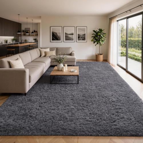 Ophanie Area Rugs 10x14 Living Room, Large Grey Bedroom Carpet, Big Shag Indoor Thick Soft Nursery Rug, Fluffy Carpets for Boy and Girls Room Home Decor Aesthetic with Over 99 pcs Pile fibers by Ophanie