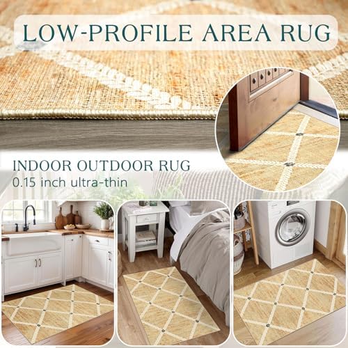 Indoor Front Door Mat, 2x3 Neutral Cottage Geometric Front Door Rug - Image 5