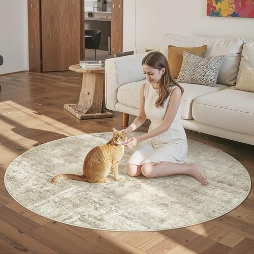 Soalmost Abstract 5x5 Round Rug 5ft Circle Living Room Rugs, Beige/Gray - Image 3