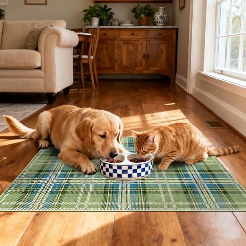 Front Door Mat Outside Entrance, 2x3 Green Teal Tartan Plaid Rug - Image 6