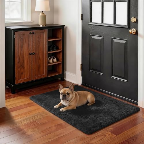 Ophanie Small Black Entryway Throw Rugs for Bedroom, 2x3 Mini Area Rug, Affordable Non Slip Fluffy Carpet, Fuzzy Soft Living Room Rug, Home Decor Aesthetic, Nursery - Image 5