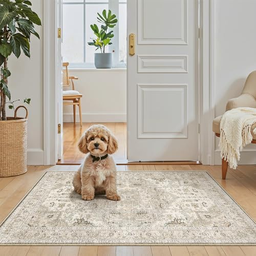 Madane Washable Area Rug 2x3 Small Entryway Rugs Non-Slip, Ivory/Brown - Image 2