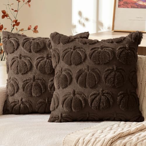MIULEE Fall Pillow Covers Pumpkin Fall Decor 20x20 Reddish Brown by MIULEE