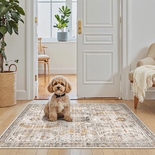 Madane Washable Area Rug 2x3 Small Entryway Rugs Non-Slip, Brown/Gold by Madane