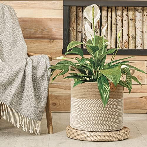 CHICVITA Wicker Storage Basket with Leather Handles, 14" x 12", White - Image 5