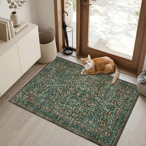 Rugxara 2x3 Entryway Rug Door Mat, Washable Samll Rug, Non Slip, Green - Image 2