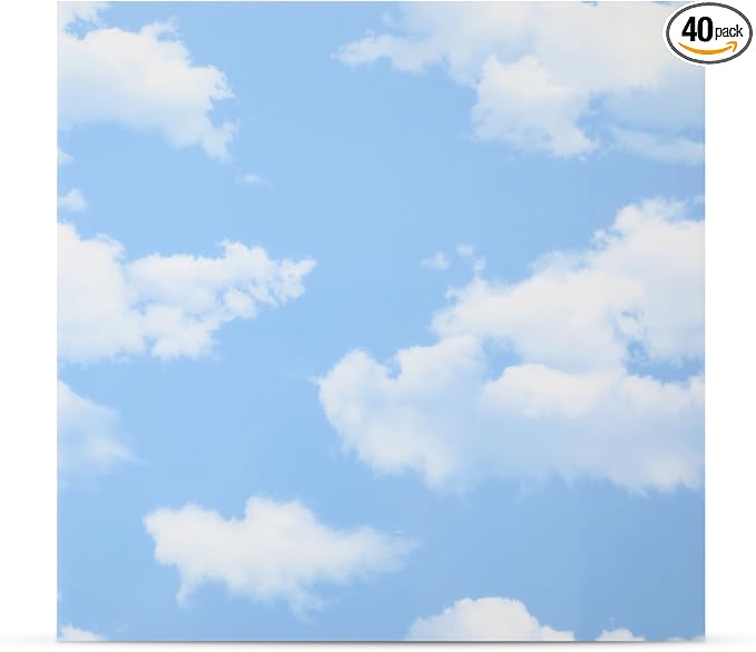 Nuanchu 40 Pcs 11.81 x 11.81 Inch Ceiling Tiles Peel and Stick, Sky | Foam White 3D Wall Panels 26-105.5 Sq. ft Adhesive Glue up Waterproof Wallpaper for DIY Office Home by Nuanchu