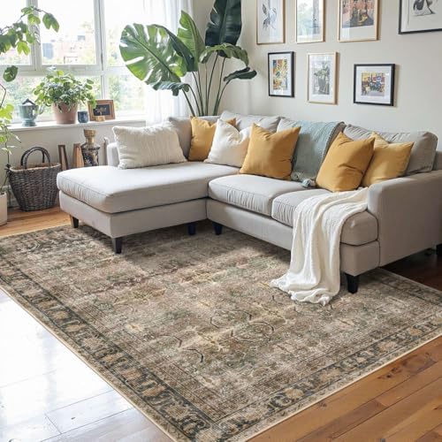 Rugxara 4x6 Area Rug for Living Room Bedroom Washable Rug, Brown - Image 2