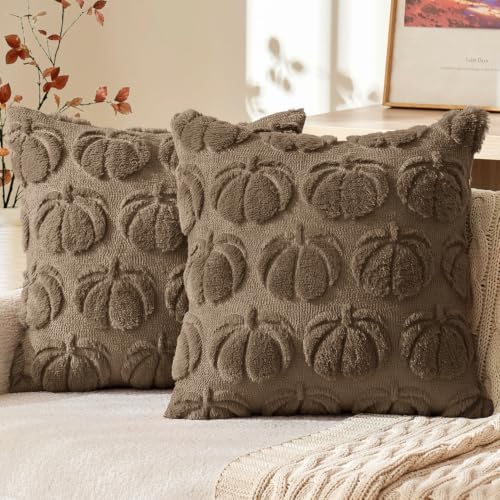 MIULEE Fall Pillow Covers Pumpkin Fall Decor 20x20 Coco Brown by MIULEE