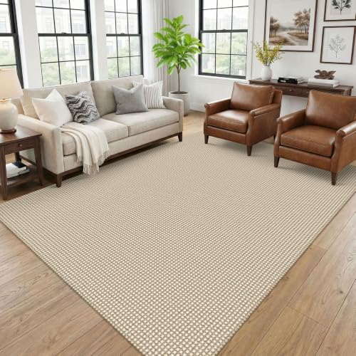 KOZYFLY 6x9 Dining Room Rugs, Washable Area Rug for Living Room, Non Slip Rugs for Bedroom, Braided Floor Carpet for Nursery, Office, Cotton Rug Home Indoor Decor, Ivory Beige by KOZYFLY