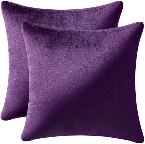 MIULEE Velvet Throw Pillow Covers 18x18 Inch Pack of 2 Eggplant Purple by MIULEE