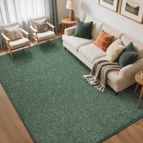 5x7 Green/White Area Rug Non-Slip Washable Soft for Living Room Bedroom by FinRe%CC%80cHome
