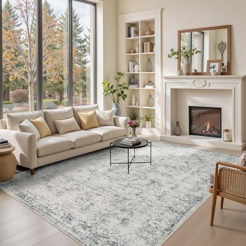 Rugxara Grey 6x9 Area Rugs Washable Rug for Living Room Dining Room Bedroom by Rugxara