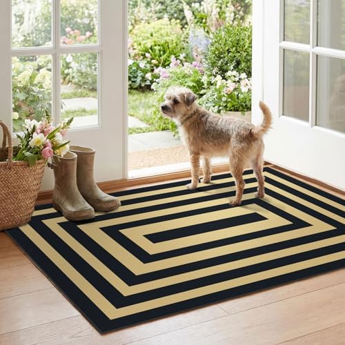 Modern Outdoor Rug - 28"x43" Front Door Mat Indoor Outside Entrance by Othilic