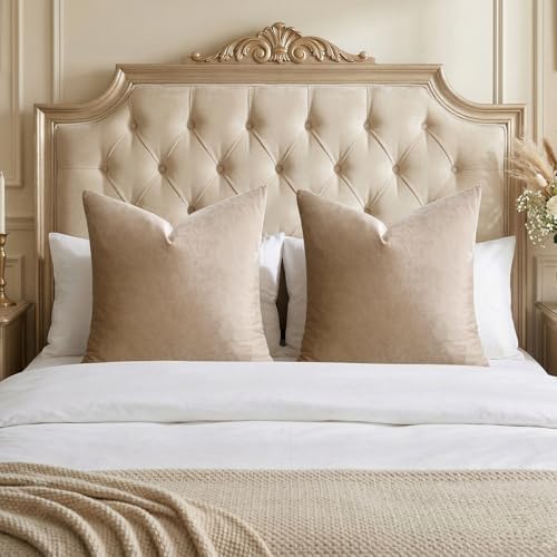 GIGIZAZA Taupe Velvet Pillow Covers 26x26 Decorative Pillows Pack of 2 by GIGIZAZAFocusingonhomedecoration