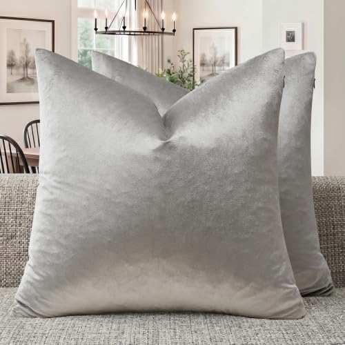 GIGIZAZA Silver Grey Velvet Throw Pillow Covers 24x24 Pack of 2 by GIGIZAZAFocusingonhomedecoration