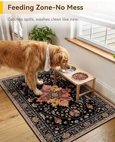 RELEANY Washable Area Rug, Small 2'x3', Black/Colorful - Image 4