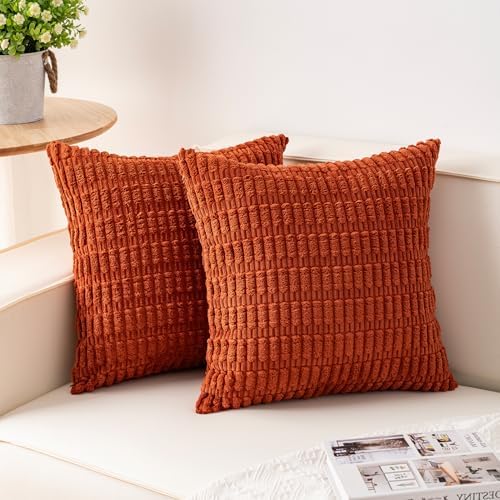 Aegero Pack of 2 Corduroy Decorative Throw Pillow Covers 16x16 Inch, Rust by Unknown