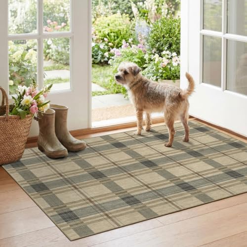 Plaid Outdoor Rug - 28"x43" Front Door Mat Indoor Outside Entrance by Othilic