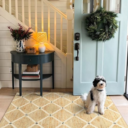 Cottage Trellis 3x5 Entryway Rug Indoor Outdoor Mats for Front Door - Image 4