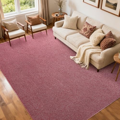 5x7 Red/White Area Rug Non-Slip Washable Soft Thin for Living Room Bedroom by FinRe%CC%80cHome