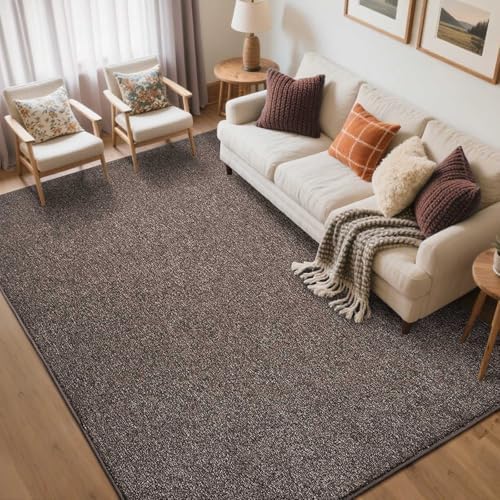5x7 Brown/White Area Rug Non-Slip Washable Soft for Living Room Bedroom by FinRe%CC%80cHome