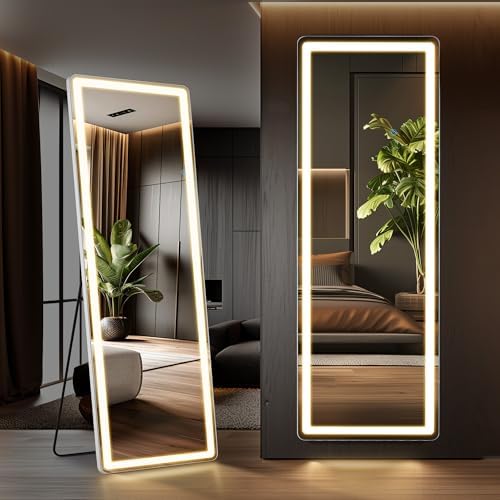 LED Rectangular Full Length Mirror, 64"L x 21"W Body Standing Mirror by Aidoly