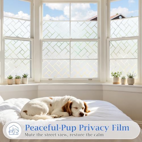 Coavas Frosted Window Privacy Film Day & Night Static Cling 17.5"x78.7" - Image 4