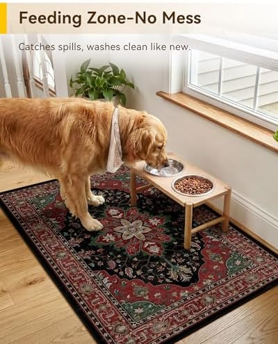 RELEANY Washable Area Rug, Small 2'x3', Red/Black - Image 2