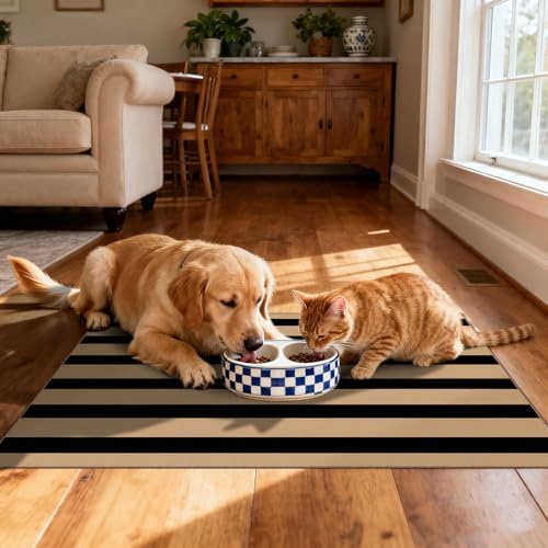 Front Door Mat Indoor Outside Entrance 2x3 Black Tan Striped Rug - Image 5