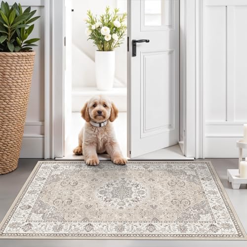 Washable 2x3 Entryway Area Rug - Neutral Kitchen Rug Runner Vintage Soft Floor Mat Non Slip Indoor Farmhouse Carpet for Bathroom Living Room Bedroom (2 X 3, Beige) by HYHAOYUNLAI