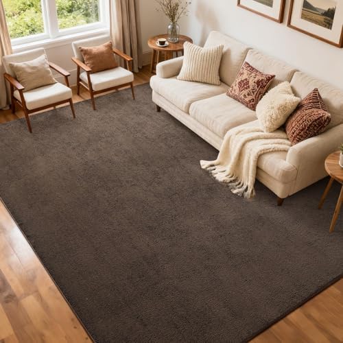 5x7 Pure Brown Area Rug Non-Slip Washable Soft Thin for Living Room Bedroom by FinRe%CC%80cHome