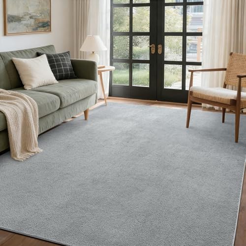 4x6 Pure Light Grey Area Rug Non-Slip Washable Soft for Bedroom Living Room by FinRe%CC%80cHome