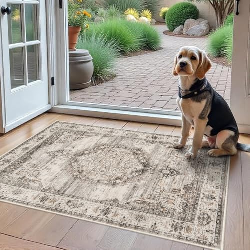 Washable Area Rugs 2x3 Entryway: Soft Ultra Thin Low Pile Mat Machine Washable Indoor Doormat Lightweight Entry Rug Anti Slip Backing Rugs for Living Room Bedroom Kitchen 2'x3' Beige by YOUFORTONG