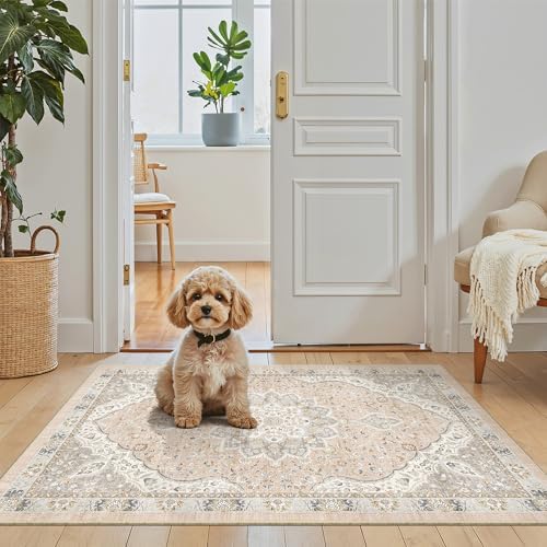 Madane Washable Area Rug 2x3 Small Entryway Rugs Non-Slip, Pink/Gray by Madane