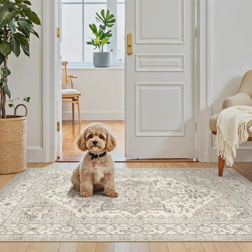 Madane Washable Area Rug 2x4, Small Entryway Rugs Non-Slip, Beige/Brown - Image 4