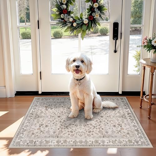 2x3 Non-Slip Washable Kitchen Rug – Boho Small Accent Rug for Sink & Entryway, Soft Low Pile Thin Carpet for Pet Area & Bathroom, Indoor Door Mat (Beige,2x3) by BYYVOORugsforYourHome
