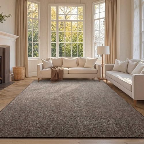 6x9 Large Brown/White Area Rug Non-Slip Washable for Living Room Bedroom by FinRe%CC%80cHome