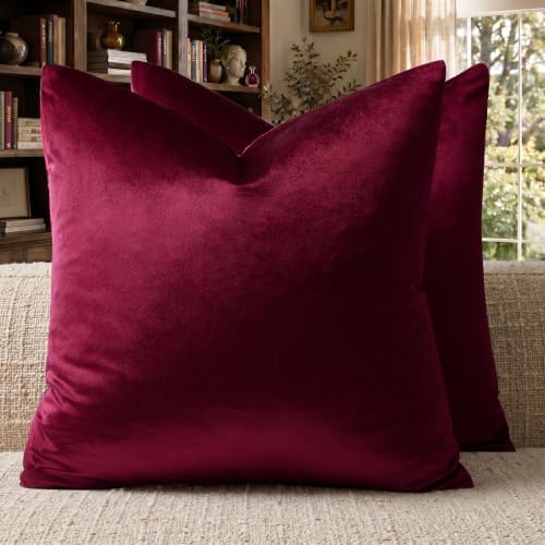 GIGIZAZA Burgundy Velvet Pillow Covers 20x20 Decorative Pillows Pack of 2 by GIGIZAZAFocusingonhomedecoration