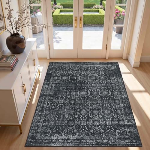 Rugxara Black 3x5 Rug for Entryway Bedroom Washable Area Rugs Carpet by Rugxara