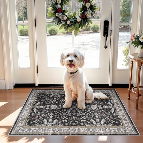 2x3 Rug Non-Slip Washable for Kitchen – Boho Small Throw Rug for Sink & Entryway, Soft Low Pile Thin Indoor Mat for Pet Area & Bathroom (Black, 2x3) by BYYVOORugsforYourHome