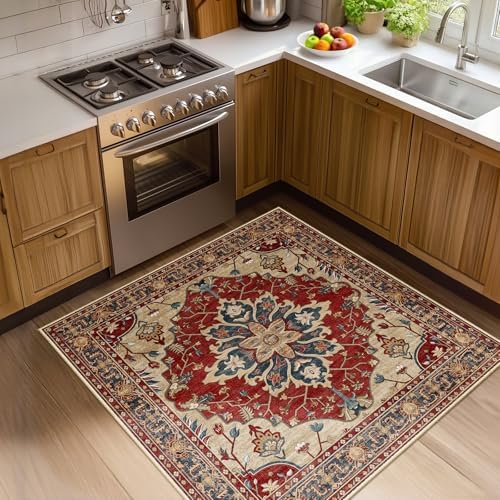 RELEANY Washable Area Rug, Square 4'x4', Red/Blue by RELEANY