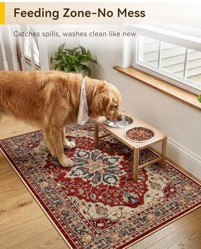 RELEANY Washable Area Rug, Small 2'x3', Red/Blue - Image 2
