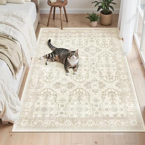 Soalmost 4x6 Area Rug for Living Room, Washable Rugs Non-Slip, Beige/Brown by Soalmost