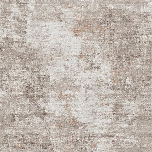 ZHXXUJ 6x8 Area Rug for Living Room Washable Modern Abstract Beige Grey by ZHXXUJ