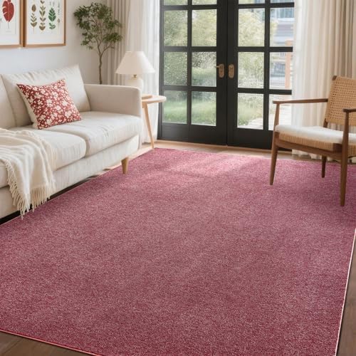 4x6 Red/White Area Rug Non-Slip Washable Soft Thin for Bedroom Living Room by FinRe%CC%80cHome
