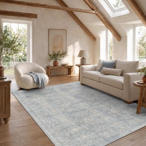 Rugxara 5x7 Area Rugs Washable Rug for Living Room Bedroom, Blue/Beige by Rugxara