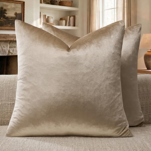 GIGIZAZA Taupe Velvet Pillow Covers 18x18 Decorative Pillows Pack of 2 by GIGIZAZAFocusingonhomedecoration