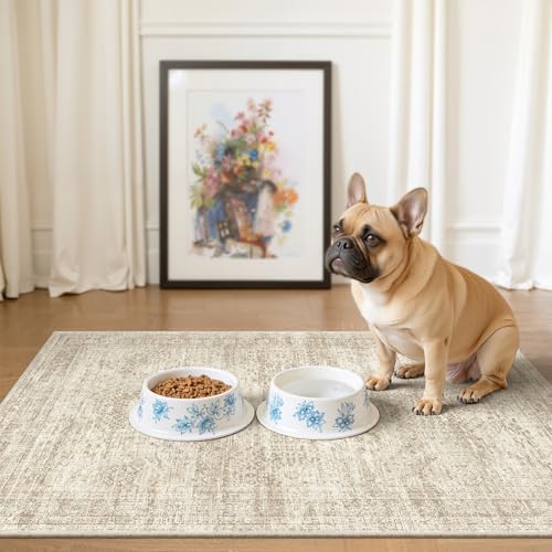 Soalmost 2x3 Washable Rugs for Kitchen, Entryway, Small Area Rug Beige by Soalmost